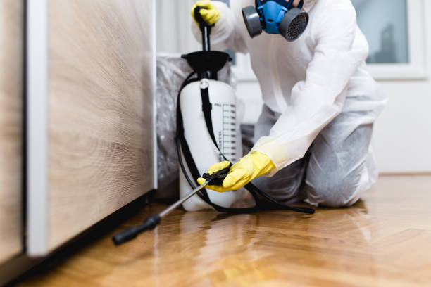 Best Affordable Pest Control Services  in Forrest, IL
