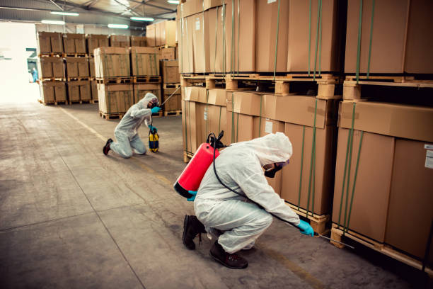 Best Affordable Pest Control Services  in Forrest, IL