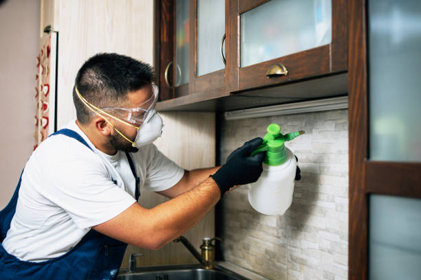 Professional Pest Control in Forrest, IL