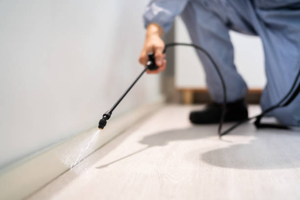 Best Pest Prevention Services  in Forrest, IL