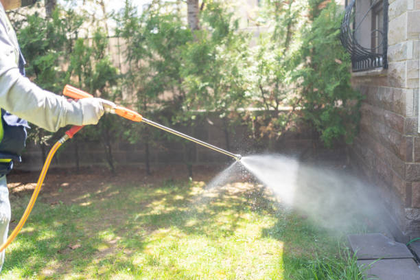 Best Cockroach Control Services  in Forrest, IL