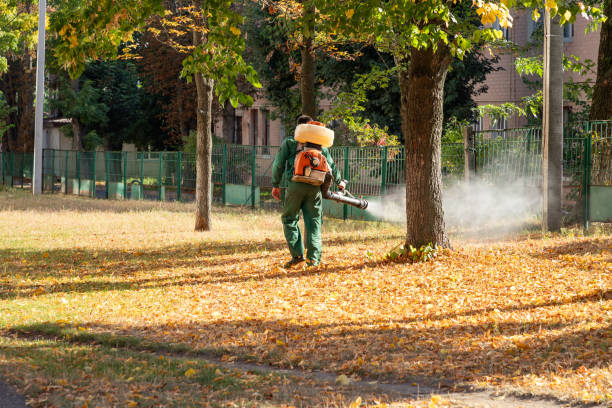 Best Best Pest Control Companies  in Forrest, IL