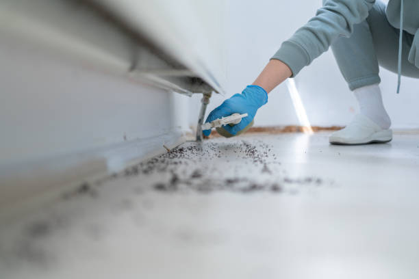 Best Bed Bug Extermination  in Forrest, IL