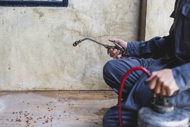 Best Exterminator Services  in Forrest, IL