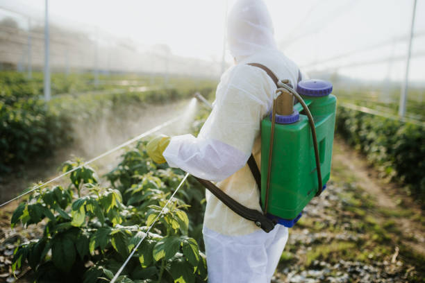 Best Insect Control  in Forrest, IL